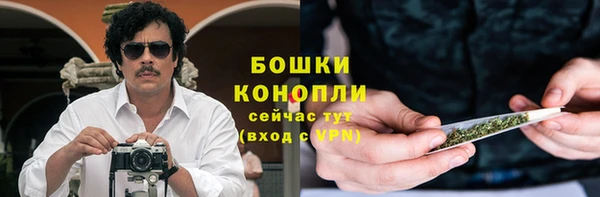 ГАЛЛЮЦИНОГЕННЫЕ ГРИБЫ Алзамай