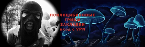 спайс Алексин