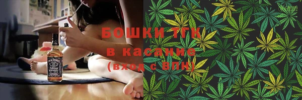 ГАЛЛЮЦИНОГЕННЫЕ ГРИБЫ Алзамай