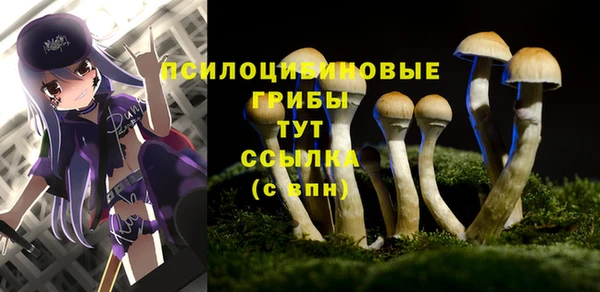спайс Алексин