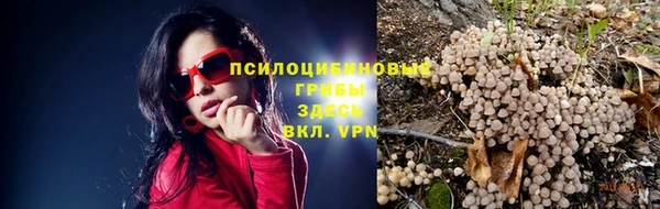 ГАЛЛЮЦИНОГЕННЫЕ ГРИБЫ Алзамай