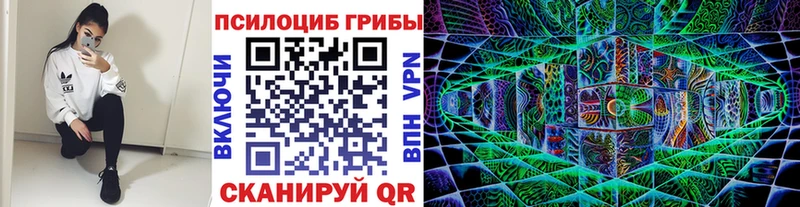 даркнет сайт  Устюжна  Псилоцибиновые грибы мухоморы 